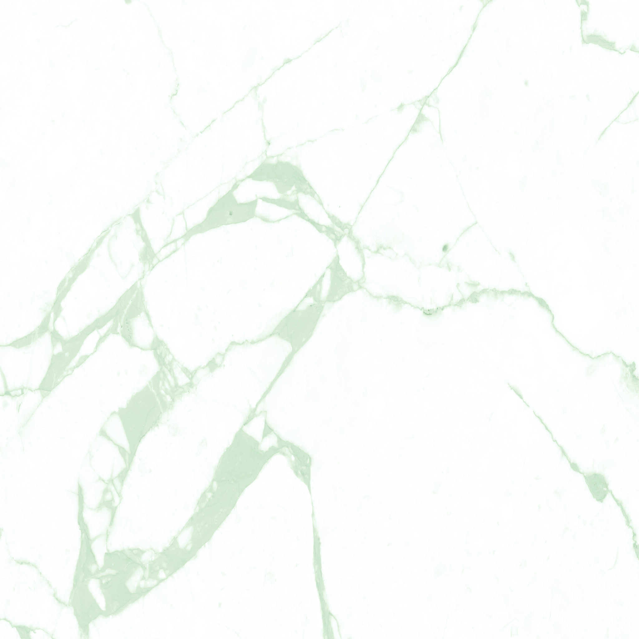 BETEL WHITE_F2