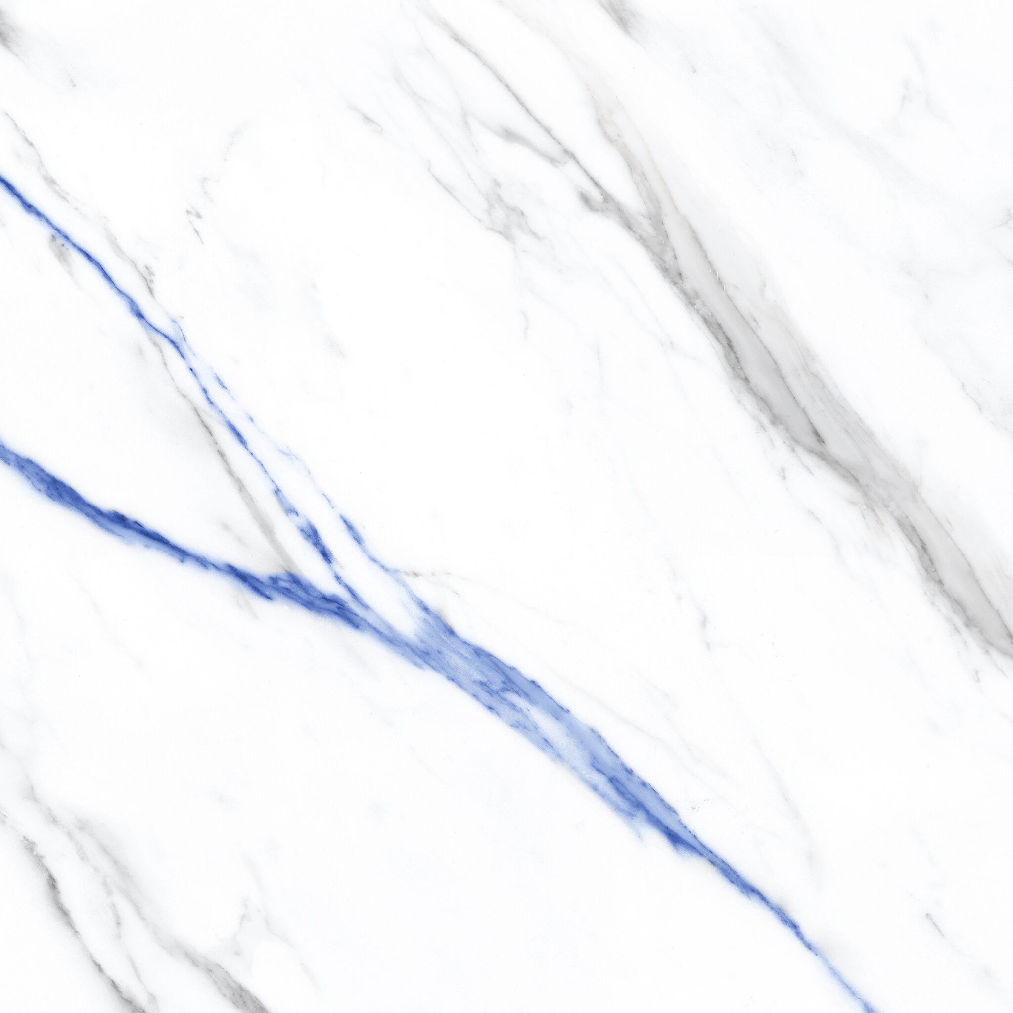 BLUE CALACTTA_F2