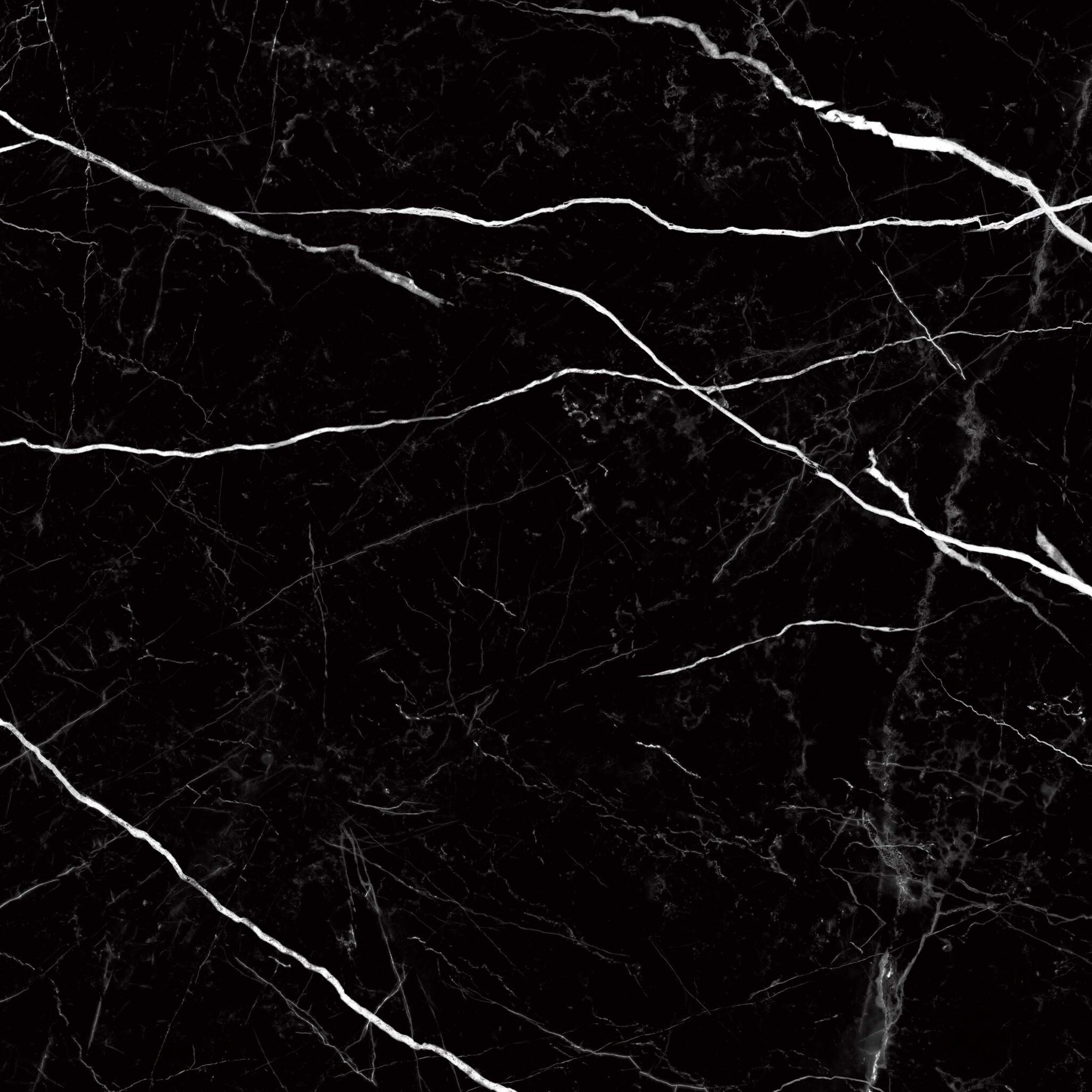 NERO MARQUINA_F1