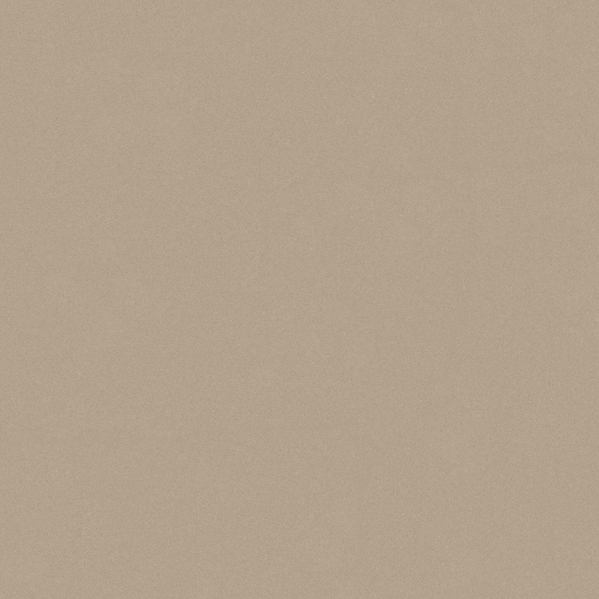 UNI COLOR BROWN_F1
