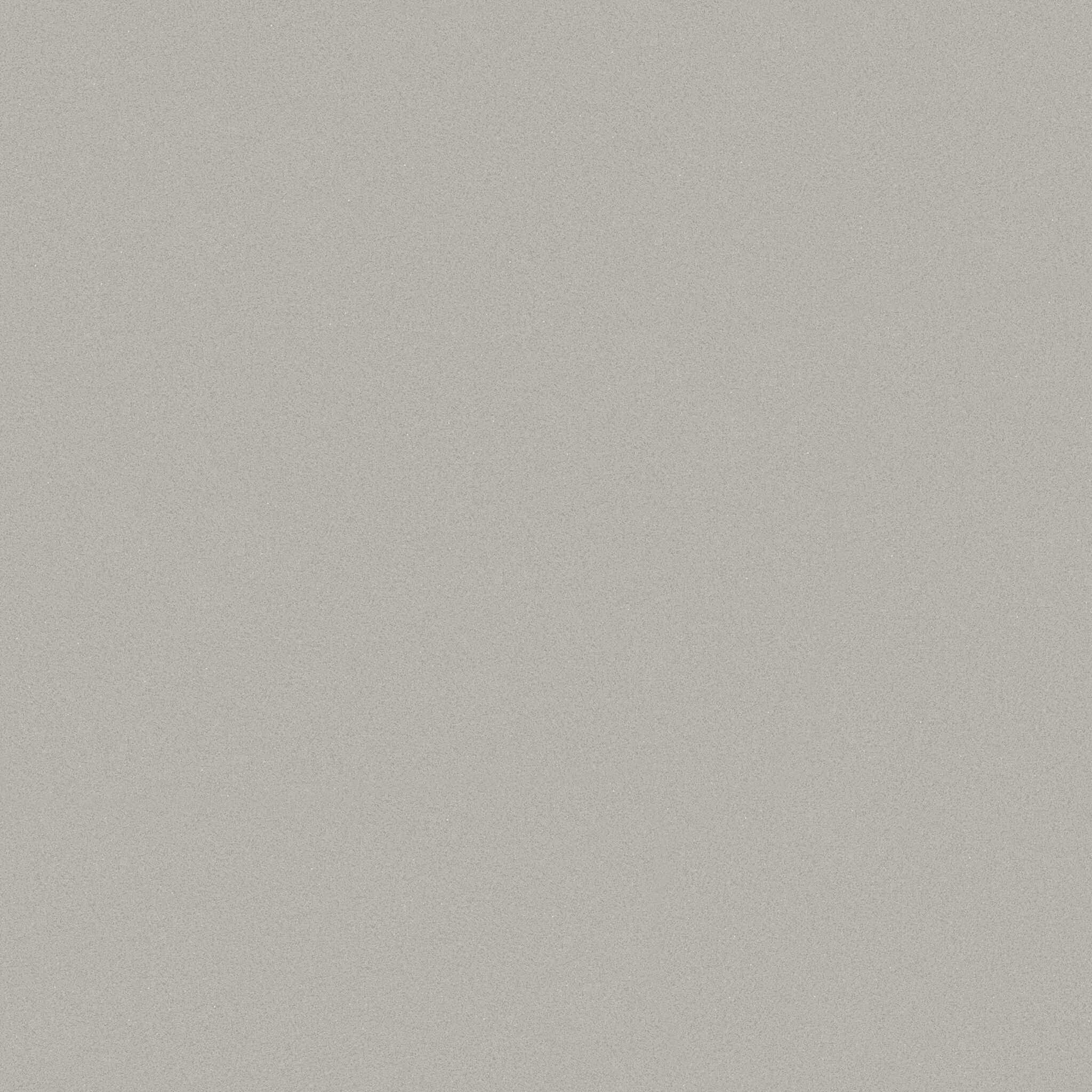UNI COLOR LIGHT GREY_F1